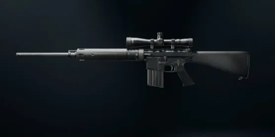 DM-10 weapon