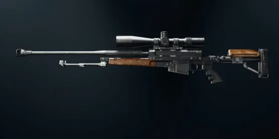 LR 7.62 weapon